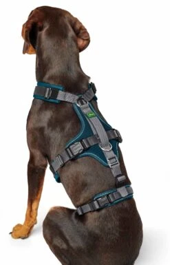 Hunter Veiligheidsharnas Maldon Teal -Huisdier Product Winkel image 50