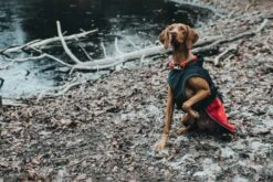 Hunter Hondenjas Uppsala Allrounder Rood