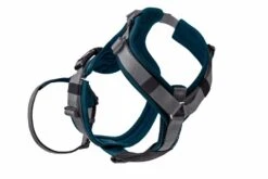 Hunter Veiligheidsharnas Maldon Teal -Huisdier Product Winkel image 52