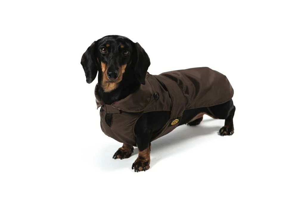 Fashion Dog Hondenjas Teckel Bruin 1 Fashion Dog Hondenjas Teckel Bruin