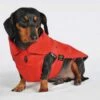 Fashion Dog Hondenjas Teckel Rood