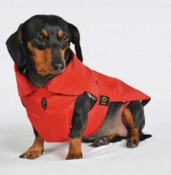 Fashion Dog Hondenjas Teckel Rood