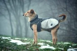 Hunter Hondenjas Uppsala Extreme Grijs