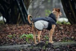 Hunter Hondenjas Uppsala Extreme Grijs -Huisdier Product Winkel image 532