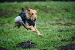 Hunter Hondenjas Uppsala Extreme Grijs -Huisdier Product Winkel image 533