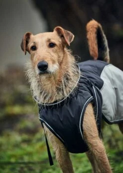 Hunter Hondenjas Uppsala Extreme Grijs -Huisdier Product Winkel image 534