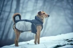 Hunter Hondenjas Uppsala Extreme Grijs -Huisdier Product Winkel image 535