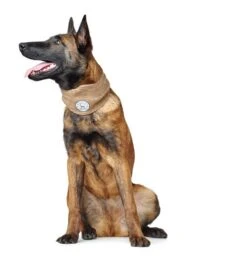 Hunter Hondensjaal Malmö Beige