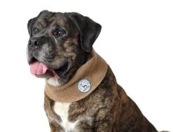 Hunter Hondensjaal Malmö Beige -Huisdier Product Winkel image 540