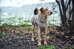 Hunter Hondenjas Uppsala Taupe -Huisdier Product Winkel image 549