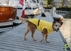 EQDOG Hondenbadjas Doggy Dry Geel -Huisdier Product Winkel image 586