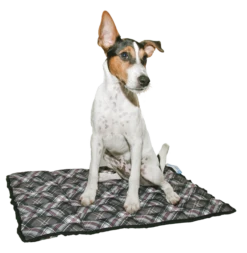 Aqua Coolkeeper Koelmat Scottish Grey 14 Aqua Coolkeeper Koelmat Scottish Grey -Huisdier Product Winkel image 6