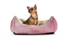 Hunter Hondenmand Astana Rood