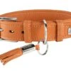 Hunter Hondenhalsband Cannes Oranje