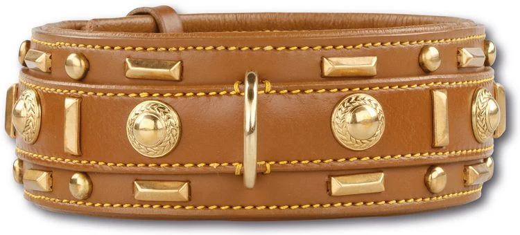 Doxtasy Hondenhalsband Glorious Tan 60mm 1 Doxtasy Hondenhalsband Glorious Tan 60mm