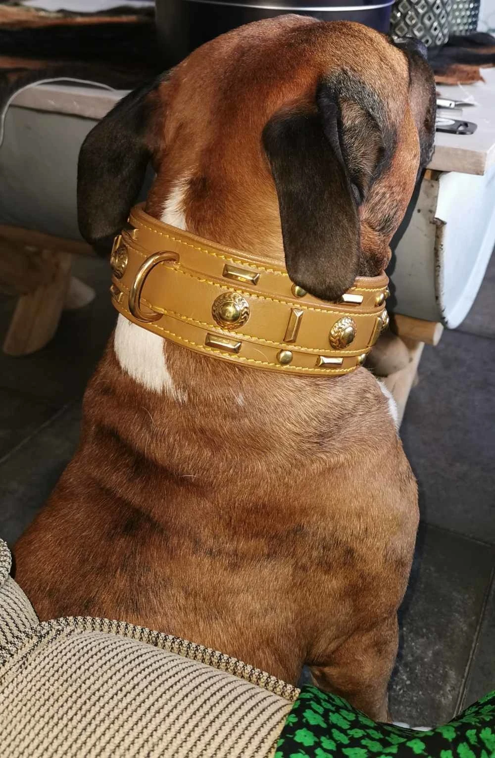 Doxtasy Hondenhalsband Glorious Tan 60mm 6 Doxtasy Hondenhalsband Glorious Tan 60mm - Afbeelding 6