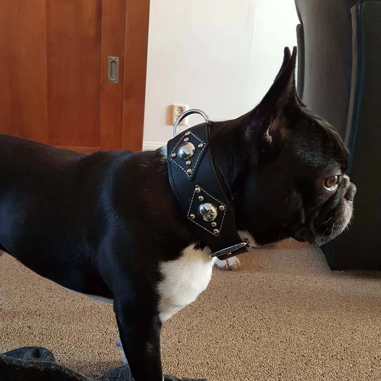 Doxtasy Hondenhalsband Ruff Chique Black 2 Doxtasy Hondenhalsband Ruff Chique Black - Afbeelding 2