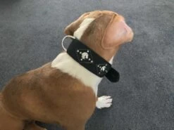 Doxtasy Hondenhalsband Ruff Chique Black 11 Doxtasy Hondenhalsband Ruff Chique Black -Huisdier Product Winkel image 667