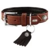 Hunter Hondenhalsband Cody Cognac