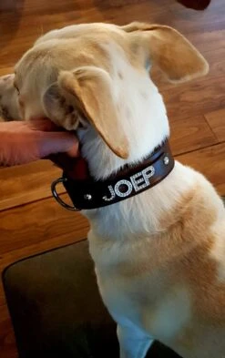 Doxtasy Hondenhalsband Met Naam Large Brown -Huisdier Product Winkel image 716