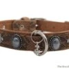 The Royal Cat And Dog Hondenhalsband Bonaparte Cognac