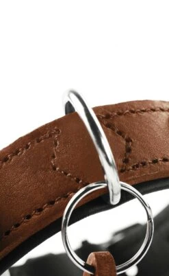 Hunter Hondenhalsband Larvik Cognac 6 Hunter Hondenhalsband Larvik Cognac -Huisdier Product Winkel image 742