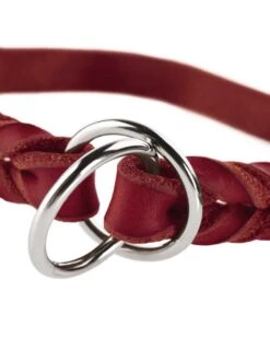 Hunter Training Halsband Hond Solid Education Rood -Huisdier Product Winkel image 751