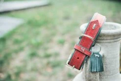 Hunter Hondenhalsband Lucca Rood -Huisdier Product Winkel image 754