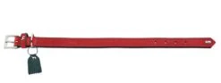 Hunter Hondenhalsband Lucca Rood -Huisdier Product Winkel image 755