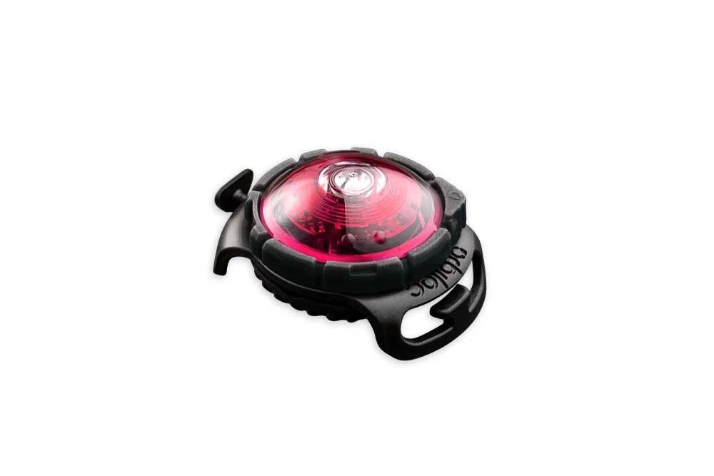 Orbiloc Dog Dual Light Roze 4 Orbiloc Dog Dual Light Roze - Afbeelding 4