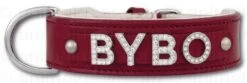 Doxtasy Hondenhalsband Met Naam Large Red