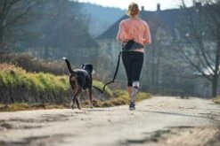 Hunter Heuptas Jasper Zwart -Huisdier Product Winkel image 816