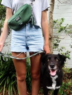 DOOG Heuptas Neosport Groen -Huisdier Product Winkel image 822