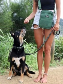 DOOG Cross Body Tas Walkie Bag Neosport Groen -Huisdier Product Winkel image 856