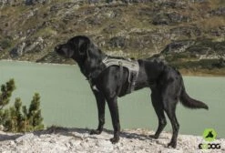 EQDOG Hondentuig Pro Harness Zwart -Huisdier Product Winkel image 863