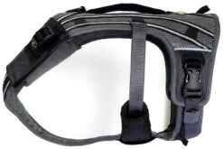 EQDOG Hondentuig Pro Harness Zwart -Huisdier Product Winkel image 866