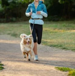 Rogz Hondenriem Handsfree Airtech Sport Oker -Huisdier Product Winkel image 879