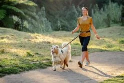 Rogz Hondenriem Handsfree Airtech Sport Oker -Huisdier Product Winkel image 880