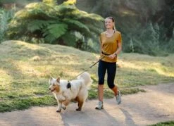 Rogz Hondenriem Handsfree Airtech Sport Oker -Huisdier Product Winkel image 882