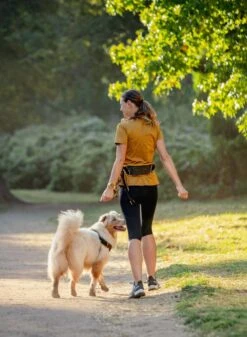 Rogz Hondenriem Handsfree Airtech Sport Oker -Huisdier Product Winkel image 884