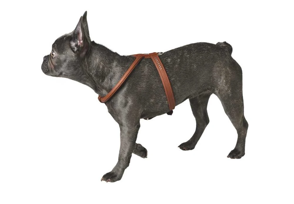 Hunter Hondentuig Elk Petit Cognac 2 Hunter Hondentuig Elk Petit Cognac - Afbeelding 2