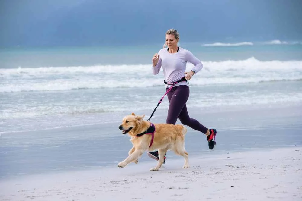 Rogz Hondenriem Handsfree Airtech Sport Roze 2 Rogz Hondenriem Handsfree Airtech Sport Roze - Afbeelding 2