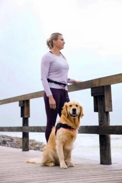 Rogz Hondenriem Handsfree Airtech Sport Roze 9 Rogz Hondenriem Handsfree Airtech Sport Roze -Huisdier Product Winkel image 901