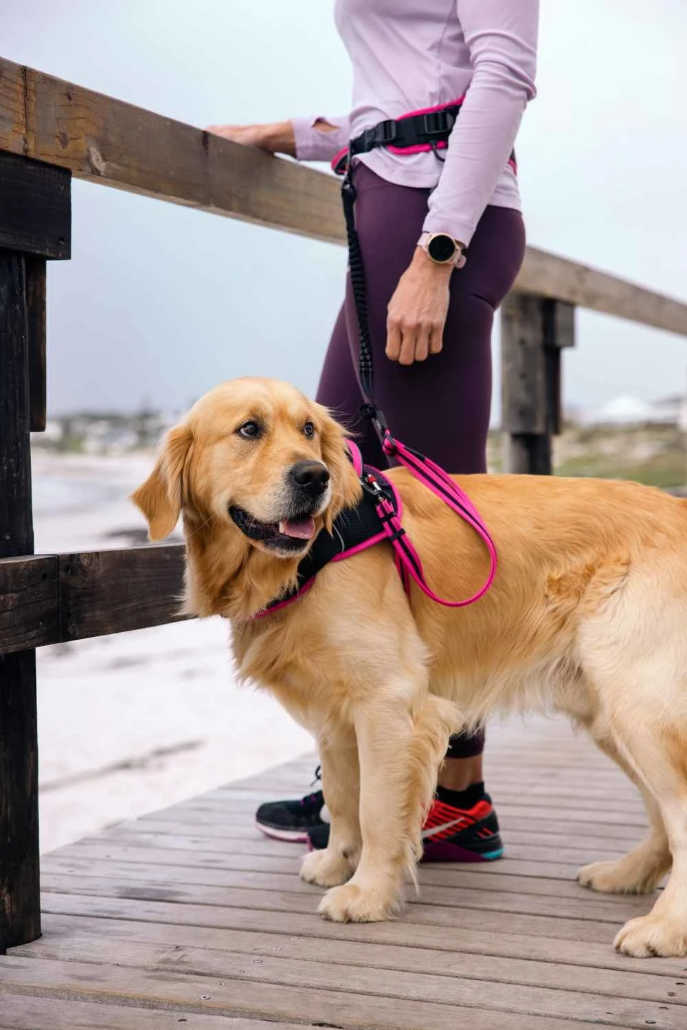 Rogz Hondenriem Handsfree Airtech Sport Roze 5 Rogz Hondenriem Handsfree Airtech Sport Roze - Afbeelding 5