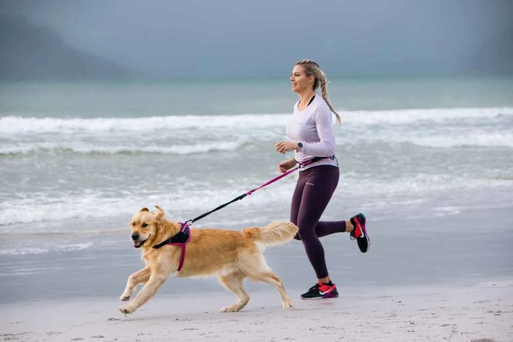 Rogz Hondenriem Handsfree Airtech Sport Roze 6 Rogz Hondenriem Handsfree Airtech Sport Roze - Afbeelding 6