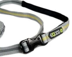 EQDOG Hondenriem Jogging Lichtgrijs -Huisdier Product Winkel image 932