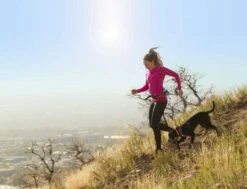 Kurgo K9 Excursion Running Belt -Huisdier Product Winkel image 941