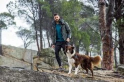 Rogz Hondenriem Handsfree Airtech Sport Grijs -Huisdier Product Winkel image 951