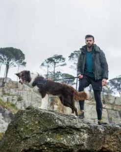 Rogz Hondenriem Handsfree Airtech Sport Grijs -Huisdier Product Winkel image 952