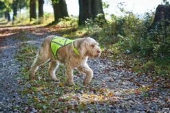 Hunter Veiligheidsvest